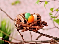 Детские пасхальные десерты: Три праздничные идеи