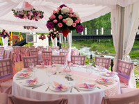 Цвет свадьбы: Как подобрать?