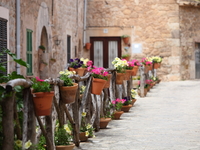 Как выбрать уличные вазоны