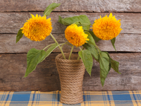 Как декорировать вазу своими руками