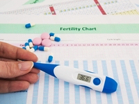 Как рассчитать овуляцию