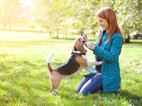 Как понять язык тела собак