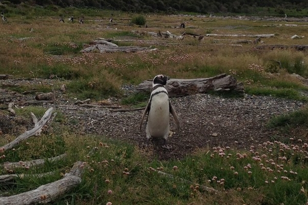 vk.com/kostyantynyevtushenko