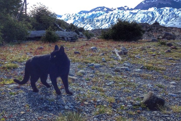 vk.com/kostyantynyevtushenko