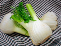 Фенхель: Польза и кулинарное применение
