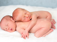 Как зачать двойню