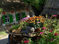 Как посадить клумбу на даче