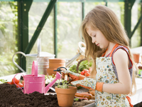 Как выбрать растения для детской комнаты