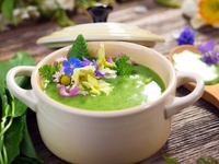 Блюда из весенней зелени: ТОП-5 рецептов