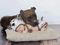 Дети и четвероногие друзья: ТОП-25 фото