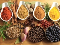 Какие приправы к каким блюдам добавлять