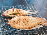 Окунь на гриле