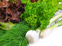 Летняя зелень: ТОП-5 июньских видов