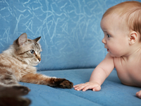 Подборка смешных видео с детьми