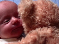 Удивительно милое видео про судьбу плюшевого мишки