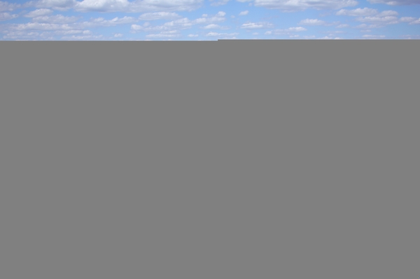 Юлия Мясоедова