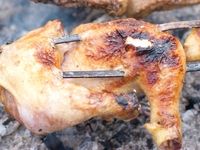 Шашлык из курицы