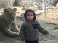 Дети в зоопарке: Подборка забавных сюжетов