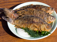 Как приготовить карася на гриле