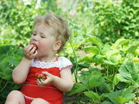 Каким должно быть летнее меню для часто болеющих детей