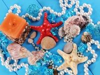 Как украсить стол ракушками: ТОП-10 идей