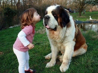 День дружбы: Дети и животные