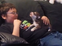 Мальчик учит щенка маламута петь