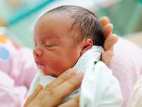 Что такое лотосовое рождение