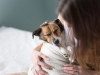 Пятничная галерея: Пес в роли новорожденного