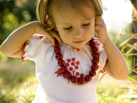 День Независимости 2014: Куда пойти с ребенком в Киеве