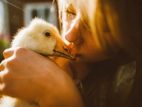 Лето, пока: Какими были каникулы в деревне