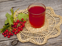 Что приготовить из калины: ТОП-5 рецептов