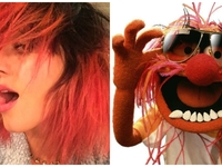 Кэти Перри сравнила свою новую прическу с куклой из Маппет-шоу