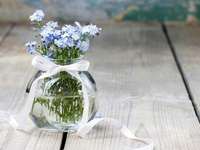 Мастер-класс: Креативные вазы из стеклянных бутылок (ВИДЕО)