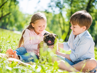 5 причин, по которым ребенку нужен питомец