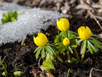 Что посадить в октябре?