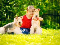 День защиты животных: Интересные факты о братьях наших меньших