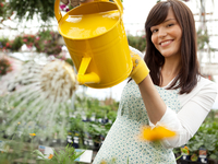 Мастер-класс: Как выращивать растения без земли и полива (ВИДЕО)