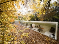 На лоне природы: Современный офис разместили прямо в лесу (ФОТО)