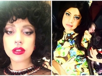 ТОП-10 фото домашних животных звезд