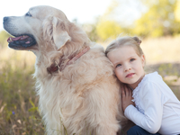 Собаки защищают ребенка от матери