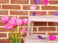 Бабочки на стене: Создаем нежный декор (ВИДЕО)