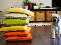 Изюминка интерьера – декоративные подушки (ВИДЕО)