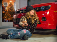 Знаменитая "сердитая кошка" снялась в рождественском фильме