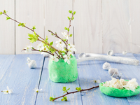 Дерево в интерьере: Как создать оригинальный декор (видео)