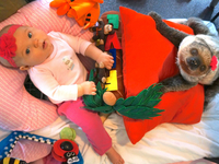 Дружба малышки и ленивца: Милые фото