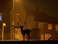 HS cистема Canon – качественные изображения, независимо от освещения