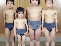 Как выглядят борцы сумо в детстве: ТОП-20 фото