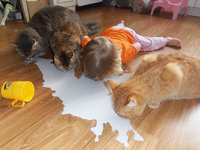 Дети, которые думают, что они – животные (фото)