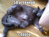 50 оттенков серого: Смотри ТОП-10 интернет-мемов на фильм